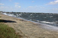 crazy north winds kicking up surf in the river