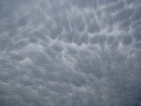 mammata clouds