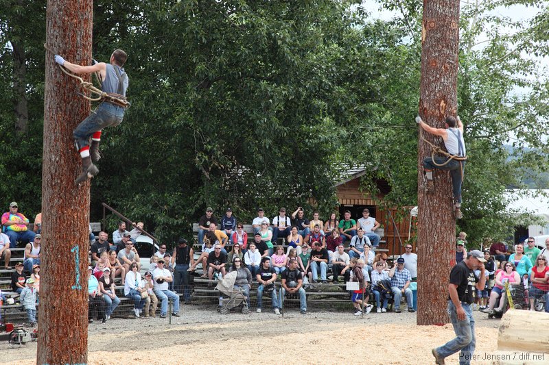 log climbing