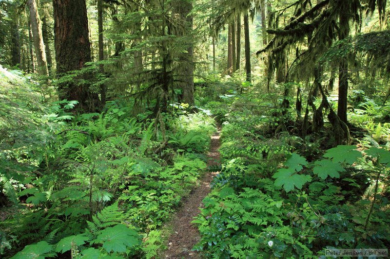 side trail