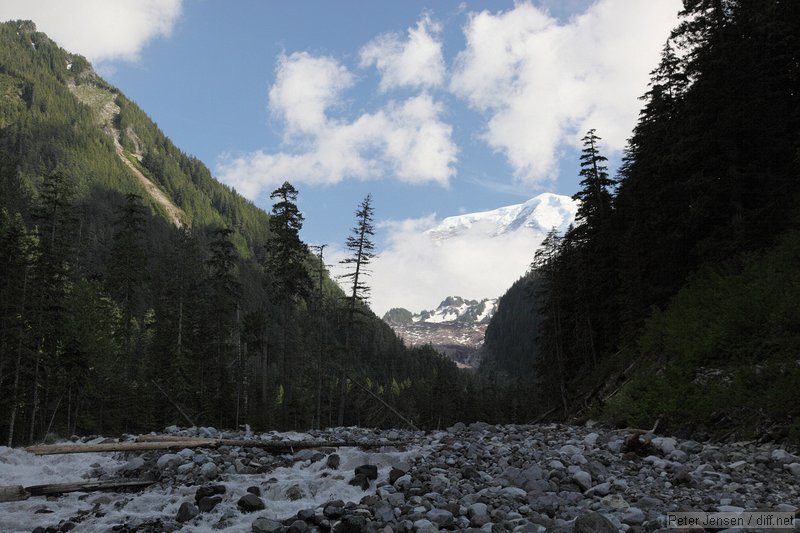 Carbon River with Rainier lurking in the background