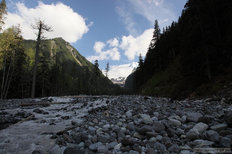 Carbon River with Rainier lurking in the background