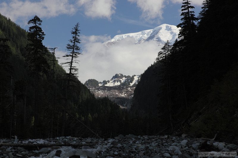 Carbon River with Rainier lurking in the background