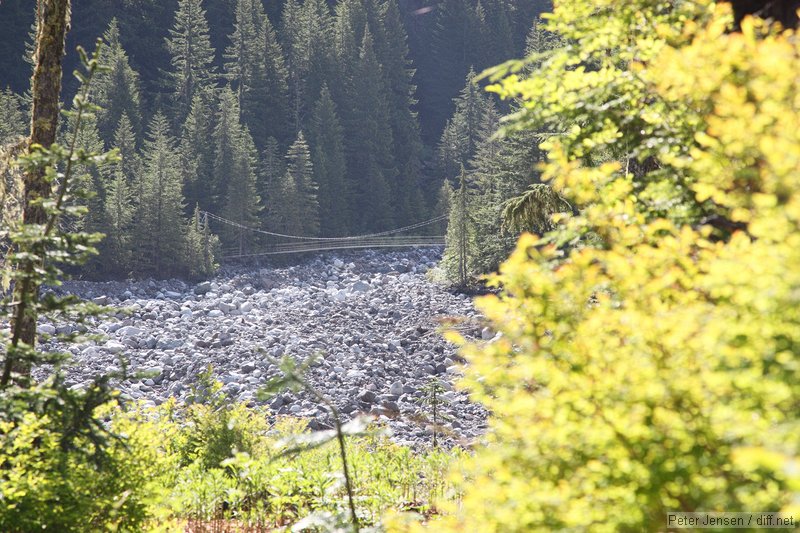 suspension bridge across Carbon river as viewed from near our campsite