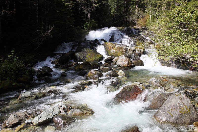 nice stream near the Carbon River camp