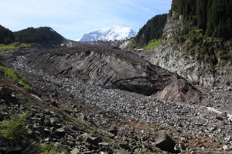 Carbon Glacier and Rainier