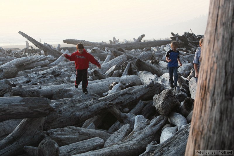 kids playing on the driftwood