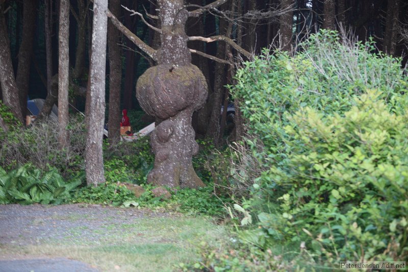 neat tree