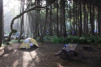 very nice site in Kalaloch campground