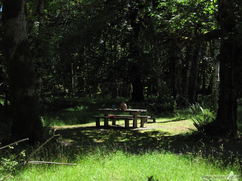 nice spot for a picnic up at the Olympic NP Hoh visitor center