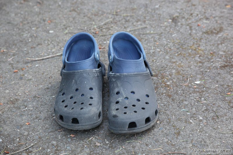 crocs