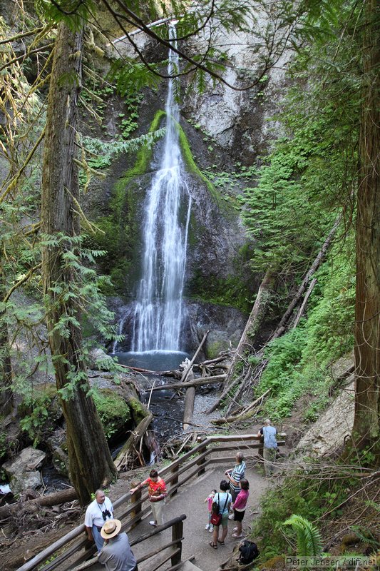 Marymere Falls