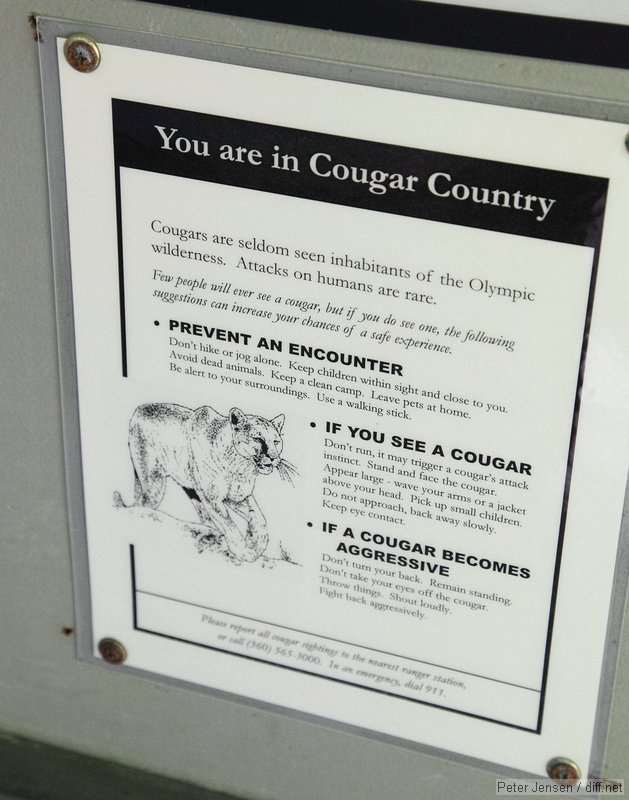 You are in Cougar Country!