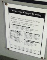 You are in Cougar Country!
