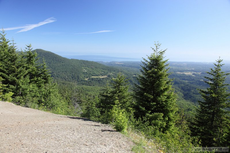 on the way up Hurricane Ridge