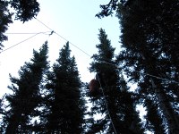 bear cable setup at Gladys lake