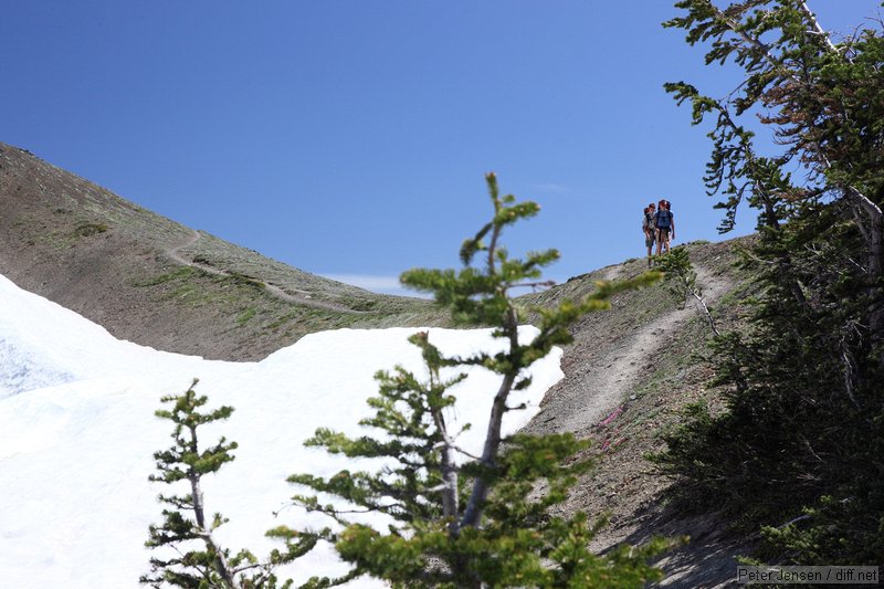 hikers coming back from a very early morning summit attempt