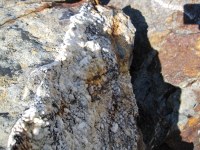 neat rocks on the trail to Grand Pass