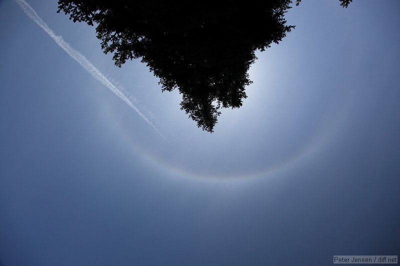 sunbow?