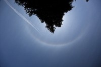 sunbow?