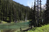 deadfall in Grand Lake