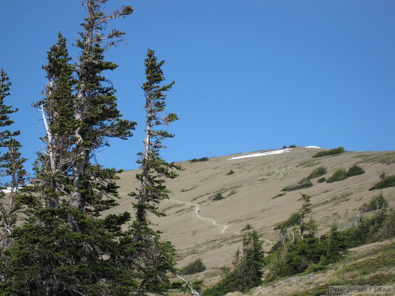 hikers on the trail