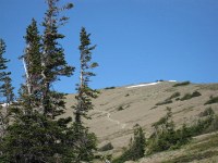 hikers on the trail
