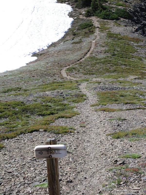 ridge trail toward Moose