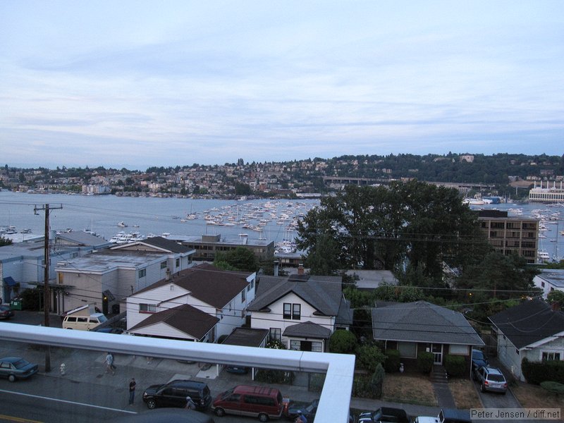 flotilla of boats watching