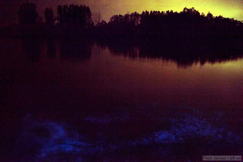 bioluminescent algae stirred up by a paddle during a 2 second exposure