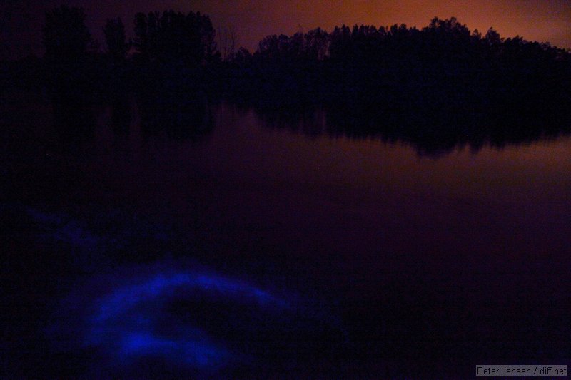 bioluminescent algae stirred up by a paddle during a 2 second exposure