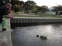 attempting to coax the footbal closwer with a rock