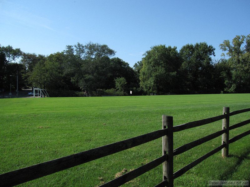 nice field along the trail
