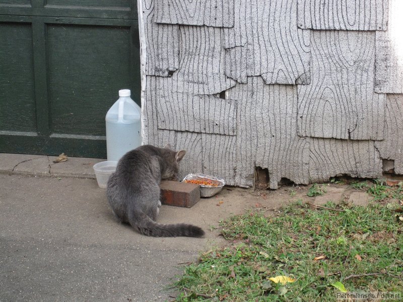 Murphy enjoys a snack
