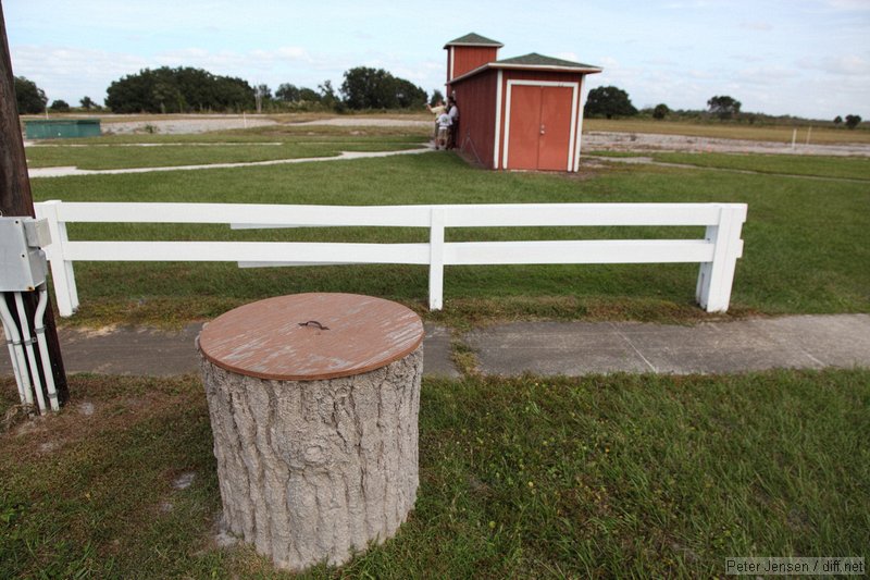 cement molded fake tree stump as a trash can