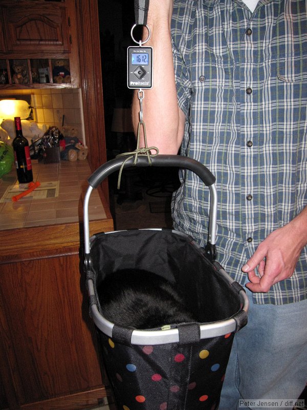 fat cat - that's 16lb 12oz, and the scale was tared with the basket