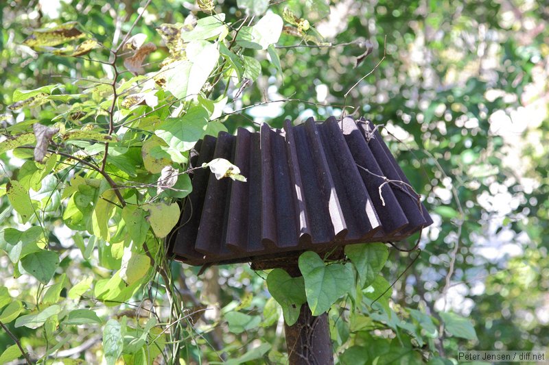 part of an old water wheel