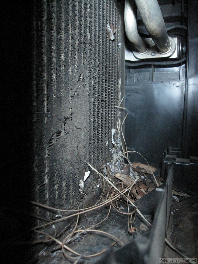 air box needed a bit of cleaning out