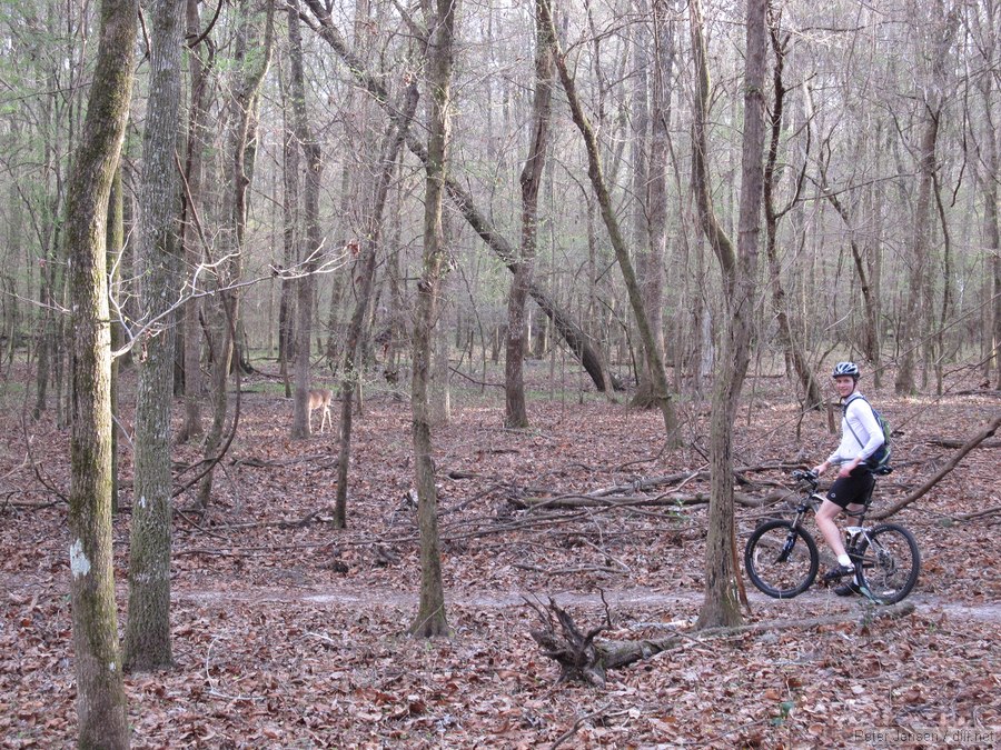 Rob and deer