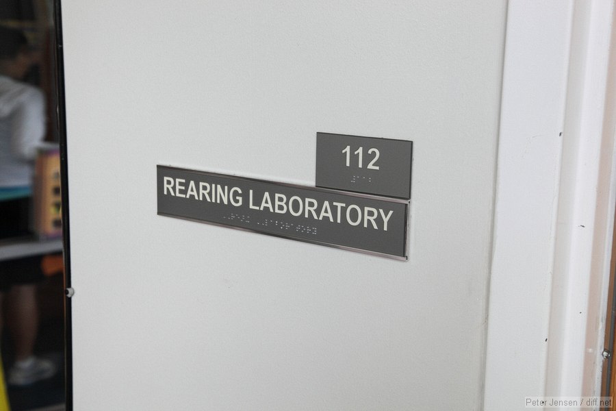 REARING LABORATORY