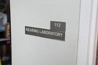 REARING LABORATORY