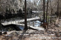 swimming area at O'Leno