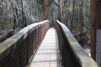 bridge at O'Leno