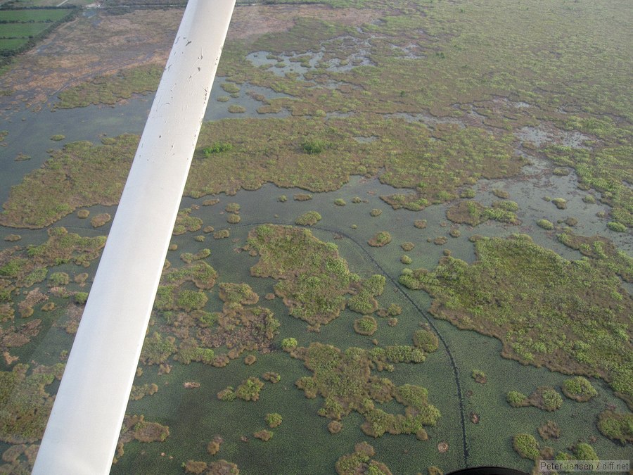 airboat trail