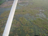 airboat trail