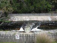 Orlando Wetlands Park outflow