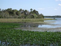 bikers at the Orlando Wetlands Park