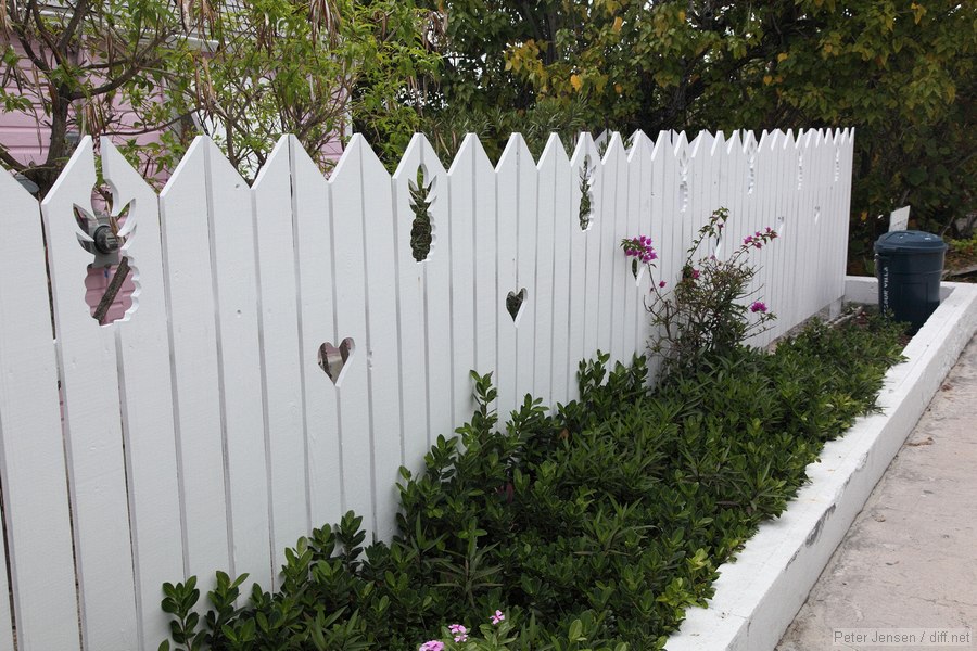 neat fence