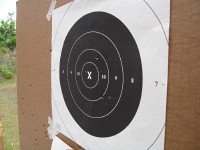 Ruger 22/45 at 15 yards, iron sights