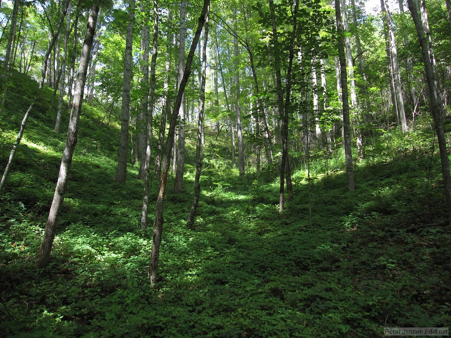 beautiful scenery at Tsali (Nantahala National Forest)